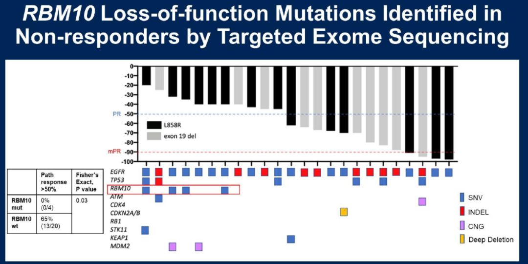 图6. RBM10突变可能会限制奥希替尼的疗效