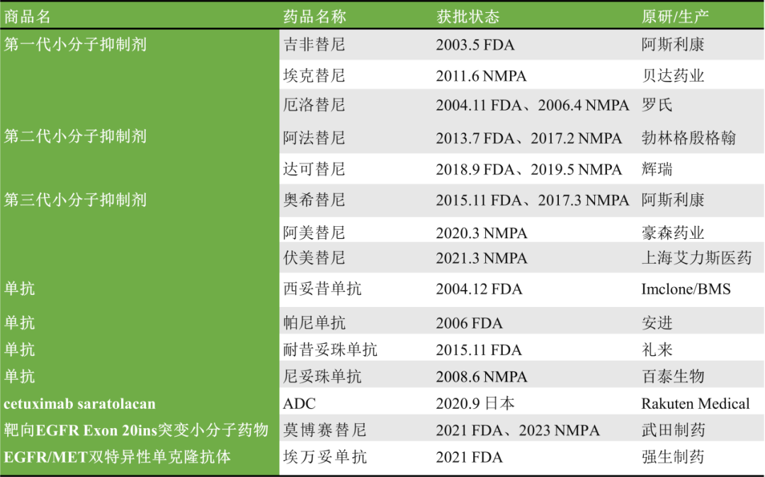 图2. 获批的靶向EGFR药物